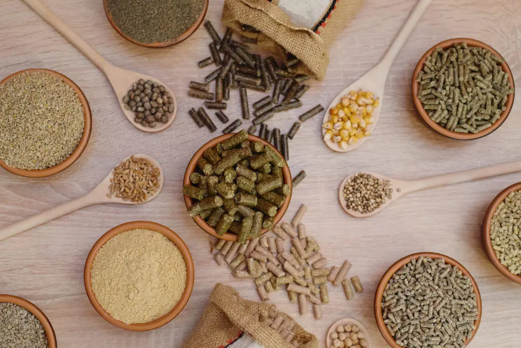 collection of different animal fodder