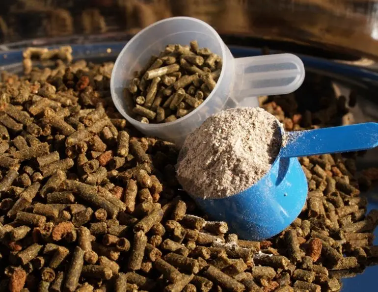 animal fodder supplements